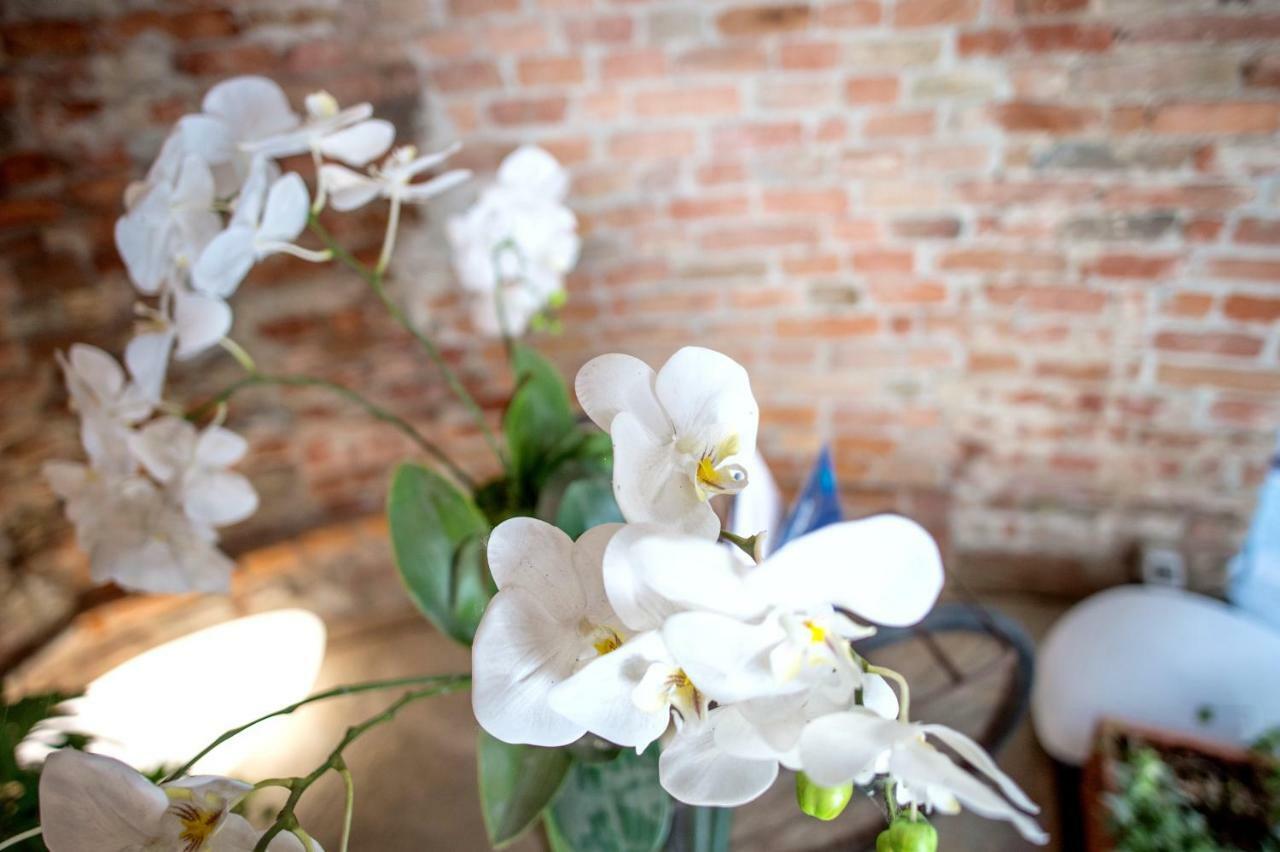 La Canonica - Charming Self-Catering Apartments In Nizza Monferrato Exterior foto